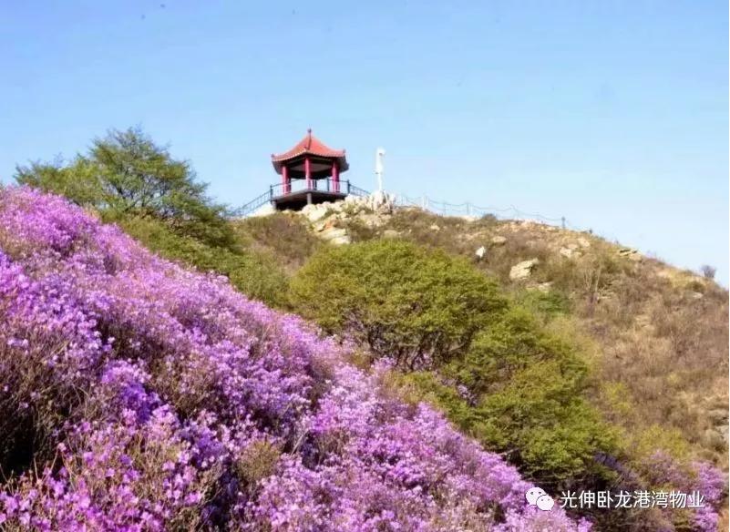 一飞冲天300倍游戏(中国游)·官方网站